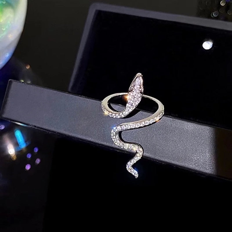 Anello del serpente vista completa